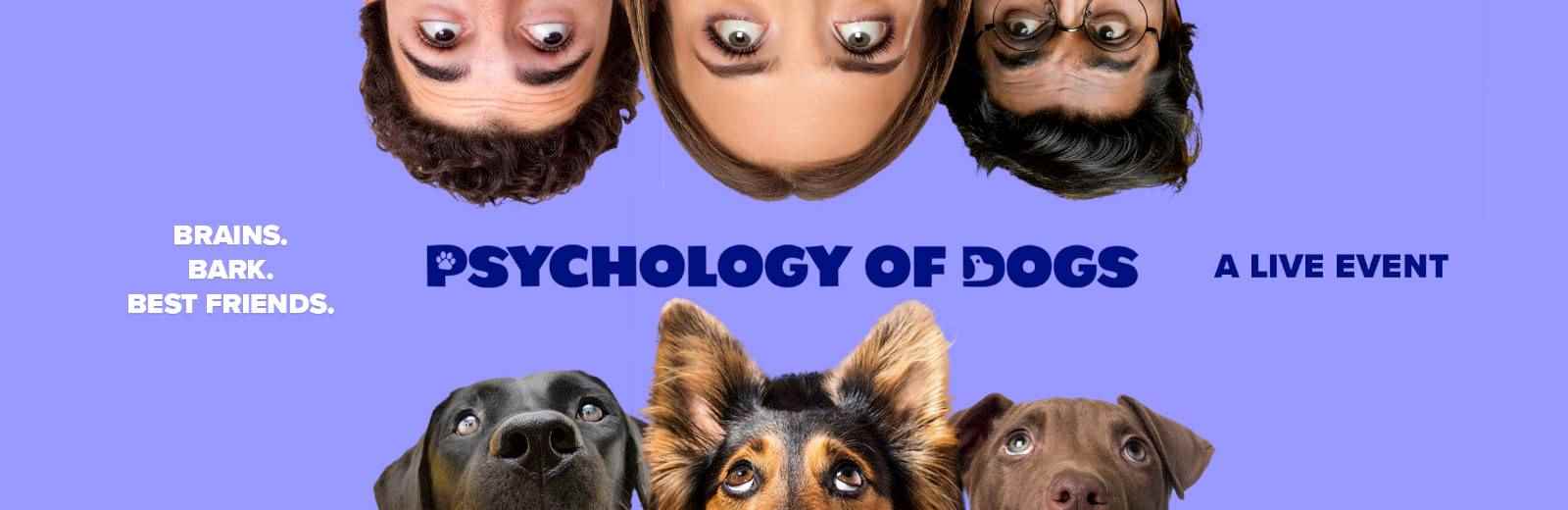 The Psychology of Dogs